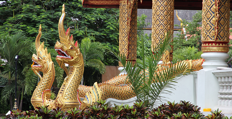 Dragons Wat Phra Sing 