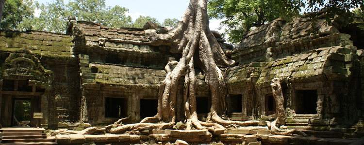 Angkor Wat met kinderen