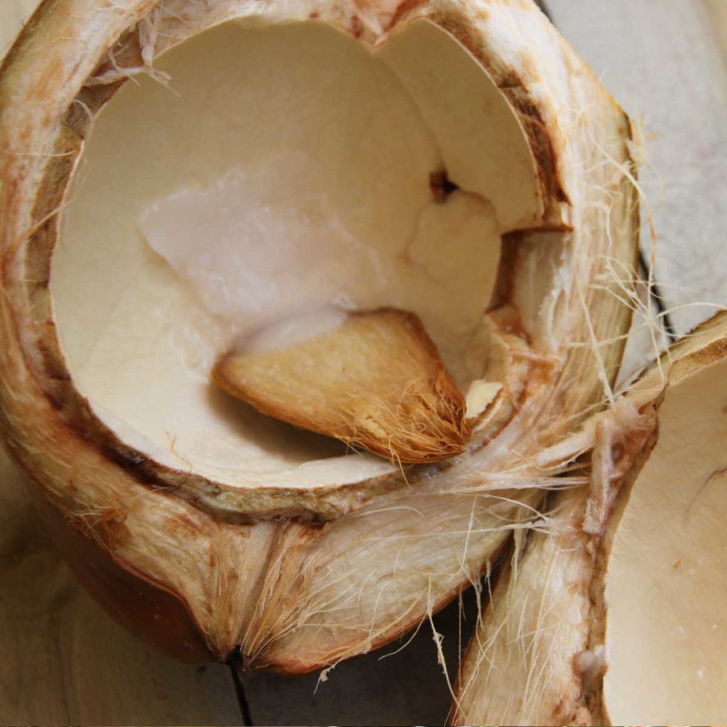 Kokosnoot King coconut