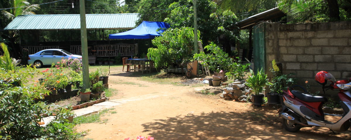 Leuk guesthouse in Polonnaruwa