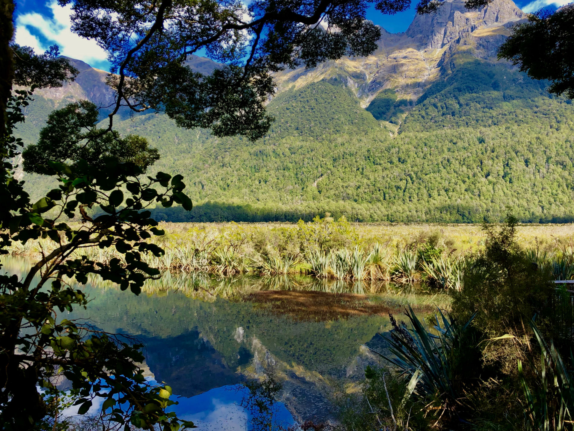 Mirror Lakes Fiordland National Park