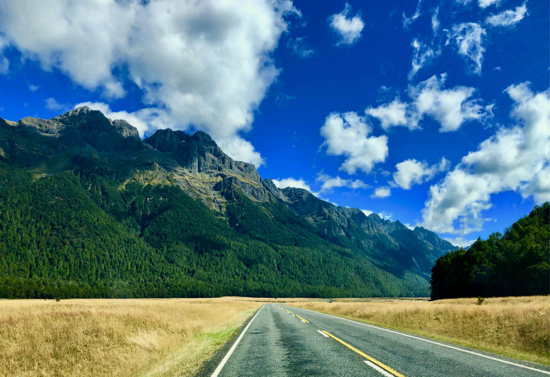 State Highway 94 Nieuw Zeeland