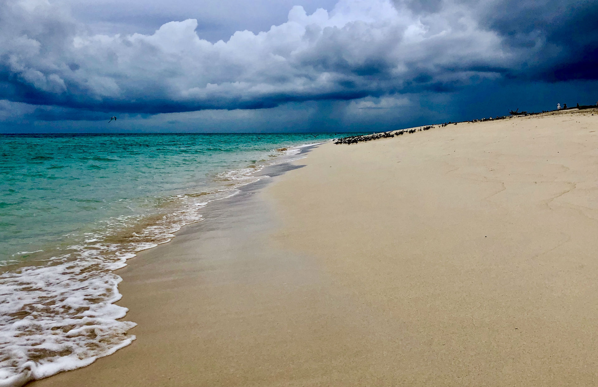Onheilspellende wolkenpartijen boven Michaelmas Cay beach