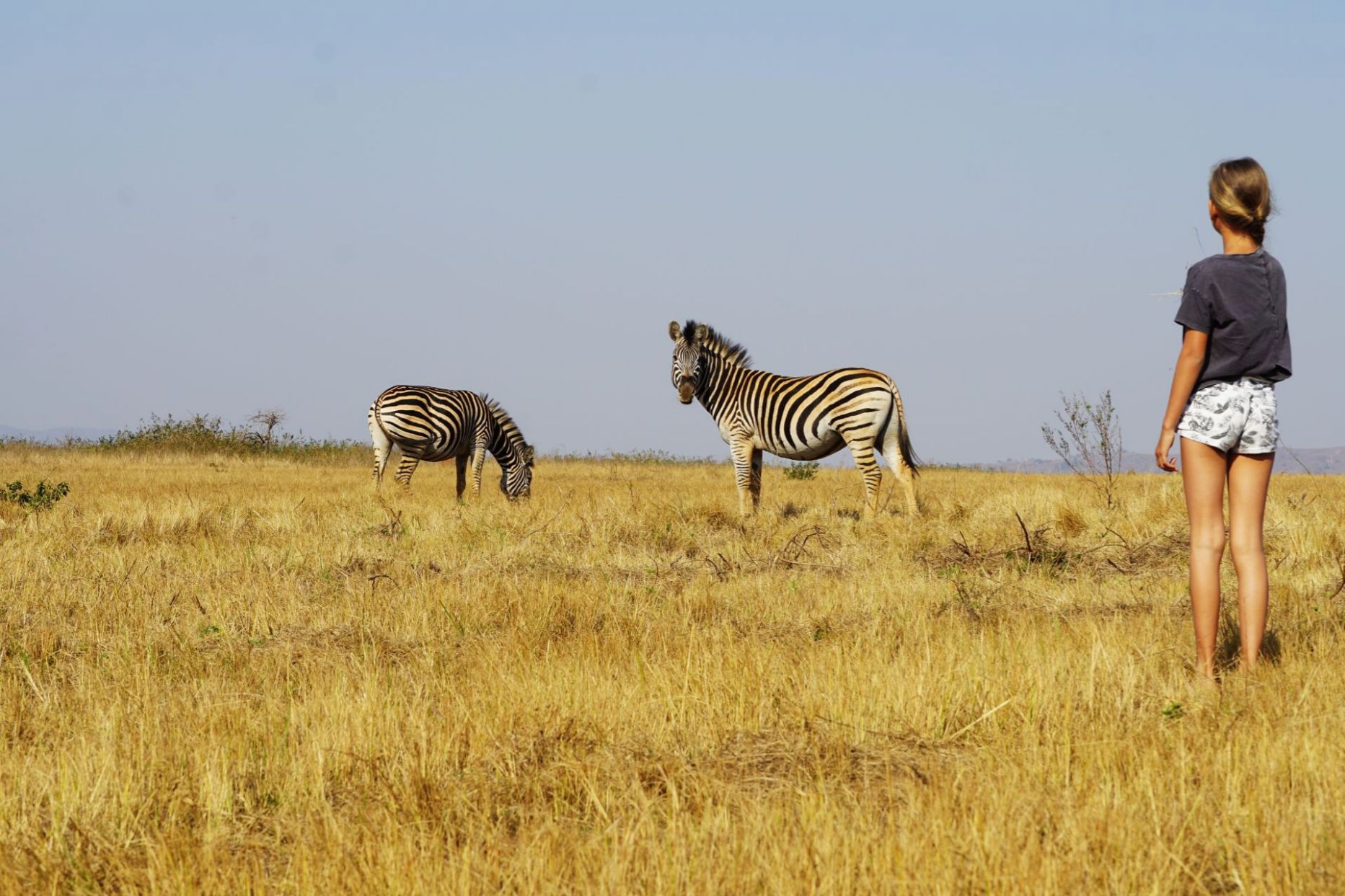 Safari in Zuid-Afrika met kind