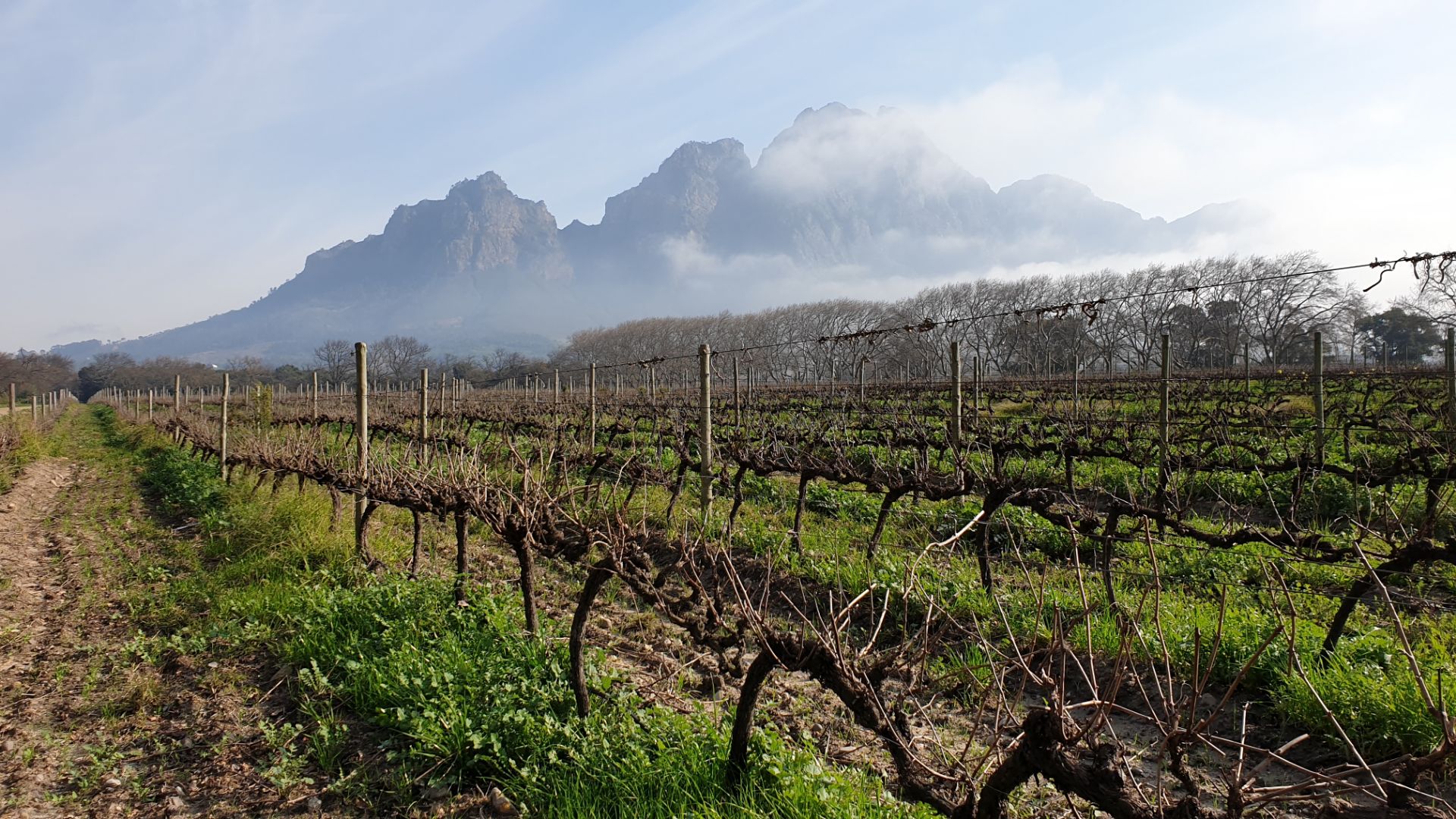 Wijnvelden Boschendal Zuid-Afrika