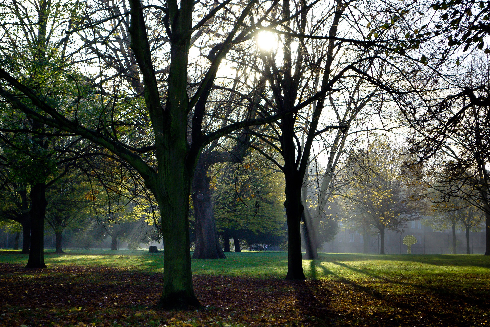 Kensington Park Londen met peuter